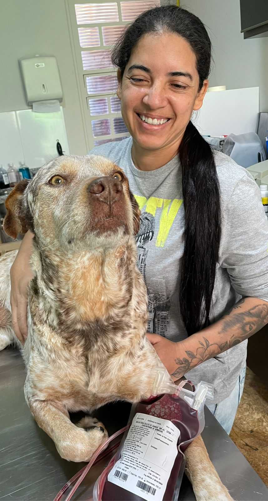 Laboratório Landing Hero Bottom Image