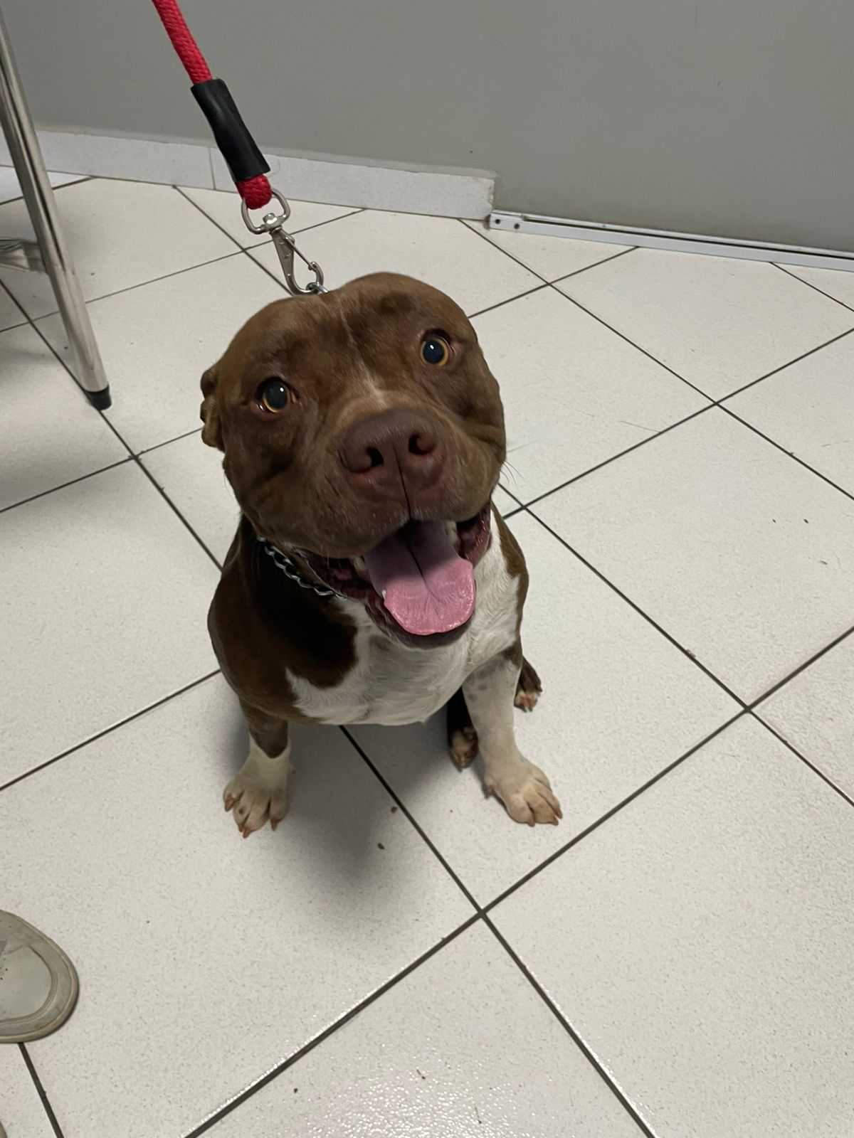 Laboratório Landing Hero Top Image